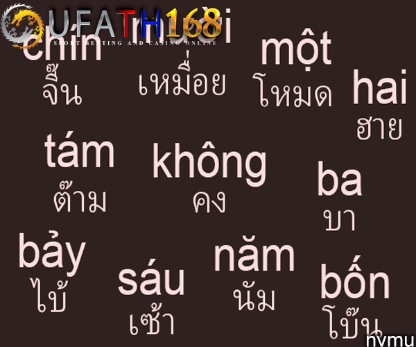 เวียดนามไม่มีตัวอักษร